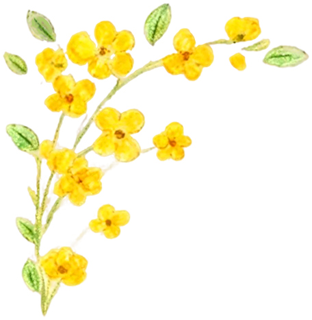 携手育新芽，共待满园春——知源学校小学部一、二年级家长会圆满结束