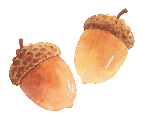 携手育新芽，共待满园春——知源学校小学部一、二年级家长会圆满结束