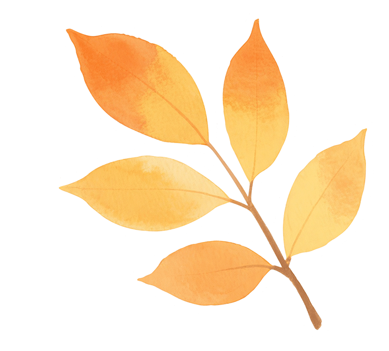 携手育新芽,共待满园春——知源学校小学部一、二年级家长会圆满结束