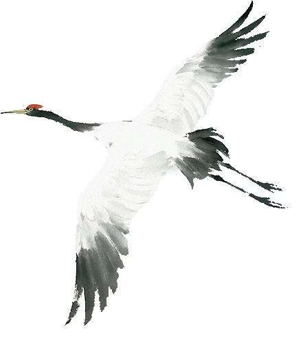 以青春之我 筑理想之光——知源学校初中部“青春为马,筑梦知源”主题教育系列活动圆满收官