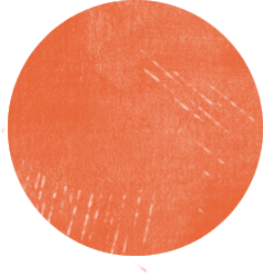 以青春之我 筑理想之光——知源学校初中部“青春为马，筑梦知源”主题教育系列活动圆满收官