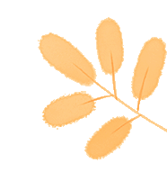 深化教学实践，彰显学科特色 ——知源学校小学部举行第九届“知源杯”教学竞赛决赛（语文 艺体科）