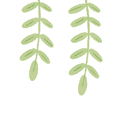 深化教学实践，彰显学科特色 ——知源学校小学部举行第九届“知源杯”教学竞赛决赛（语文 艺体科）