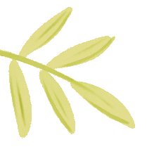 深化教学实践，彰显学科特色 ——知源学校小学部举行第九届“知源杯”教学竞赛决赛（语文 艺体科）