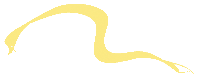 喜报 | 知源学子闪耀少儿春晚舞台 喜获多项荣誉