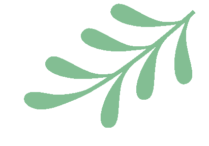 优课引路明方向  专家领航备中考 ——知源学校成功承办湘阴县2026年初中学业水平考试语文、历史分科会