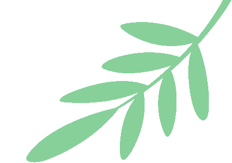 聚焦核心素养，彰显课堂魅力 ——知源学校初中部第十届青年教师片段教学竞赛圆满落幕